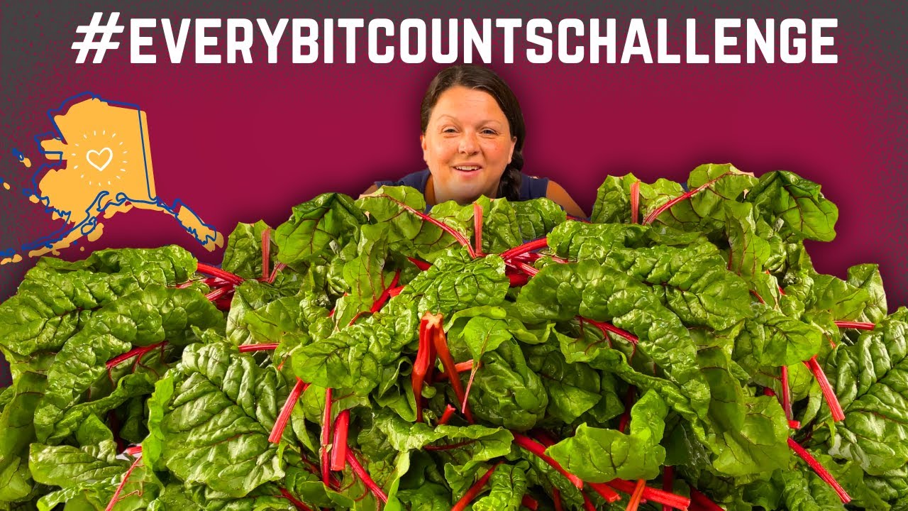 Alaska Cabin Pantry - what to do with too many Greens #everybitcountschallenge