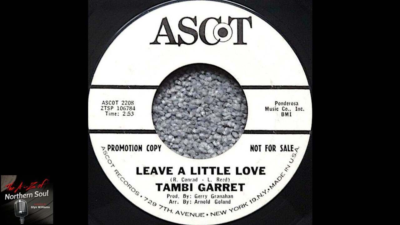 Tambi Garrett - Leave A Little Love - (1966)