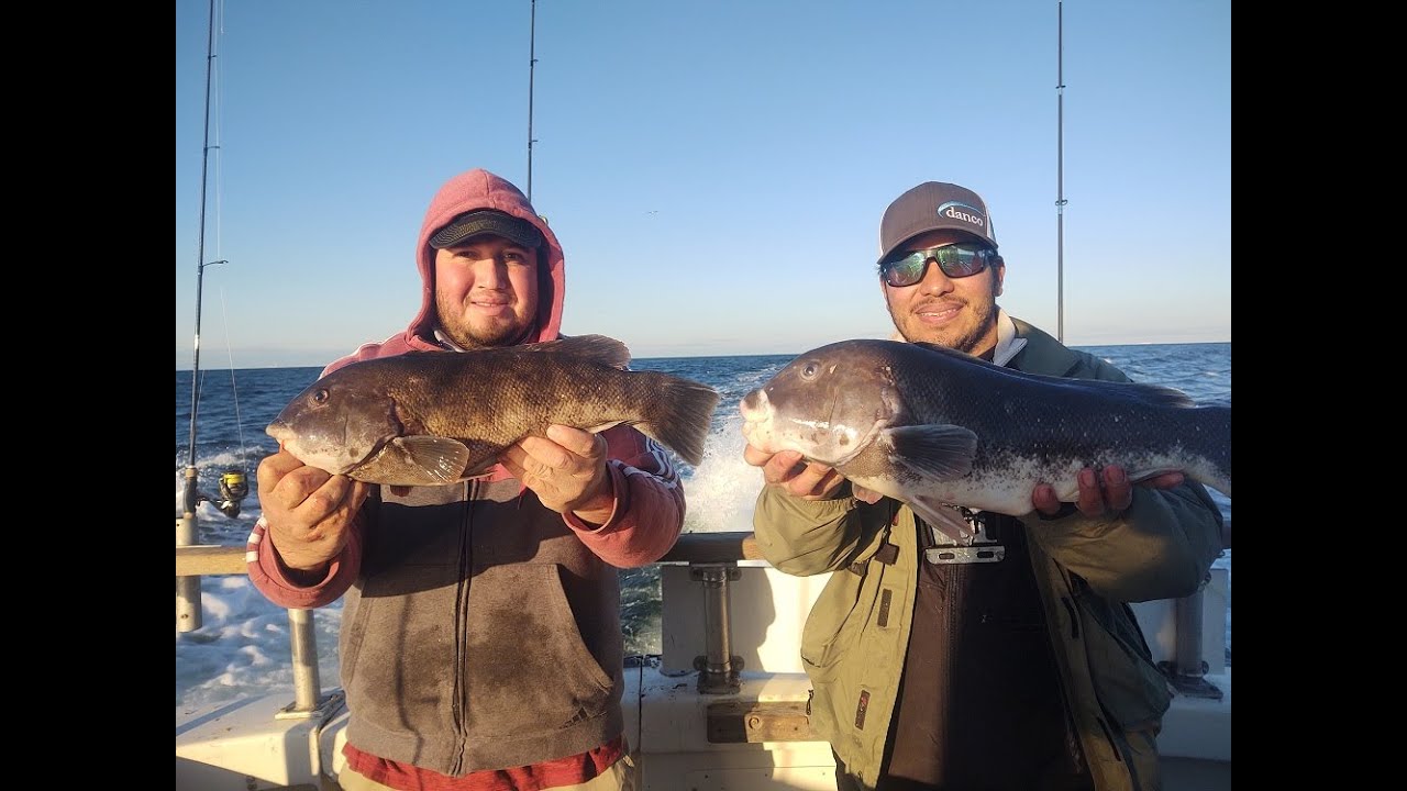 The Last Drop was the Ticket!! Fishing Northeast Reef Donkeys!! #blackfish #blackfishing #jigfishing