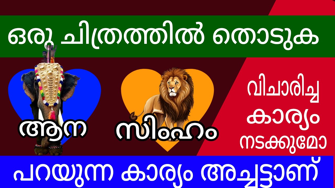 thodukuri ദൈവം നിങ്ങൾക്കായി കരുതി വച്ചിരിക്കുന്ന കാര്യങ്ങൾ കൃത്യമായി അറിയാം