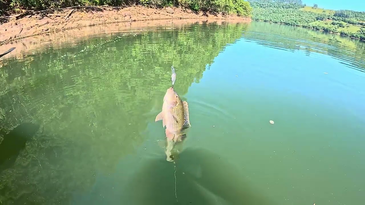 Dia 19 Rio Uruguai. QUE PEIXE ERA ESSE? 
