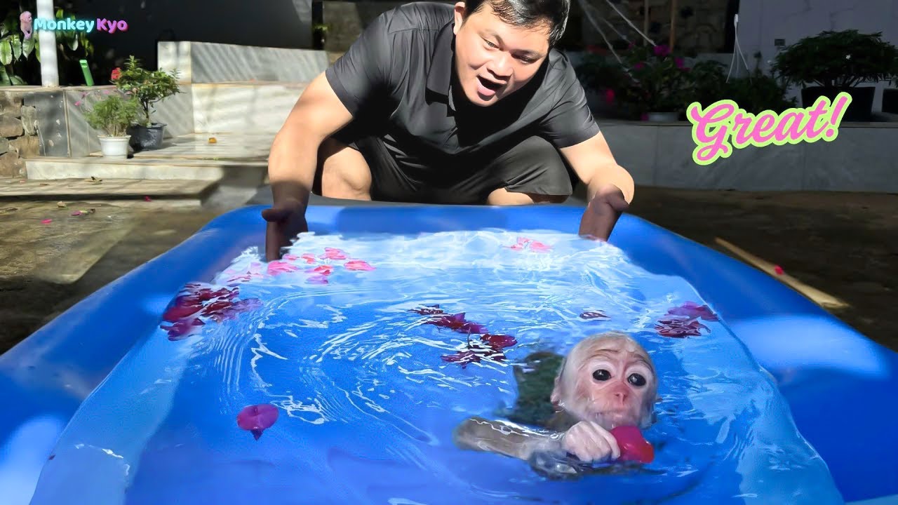 Monkey Kyo feels itchy so she goes swimming!