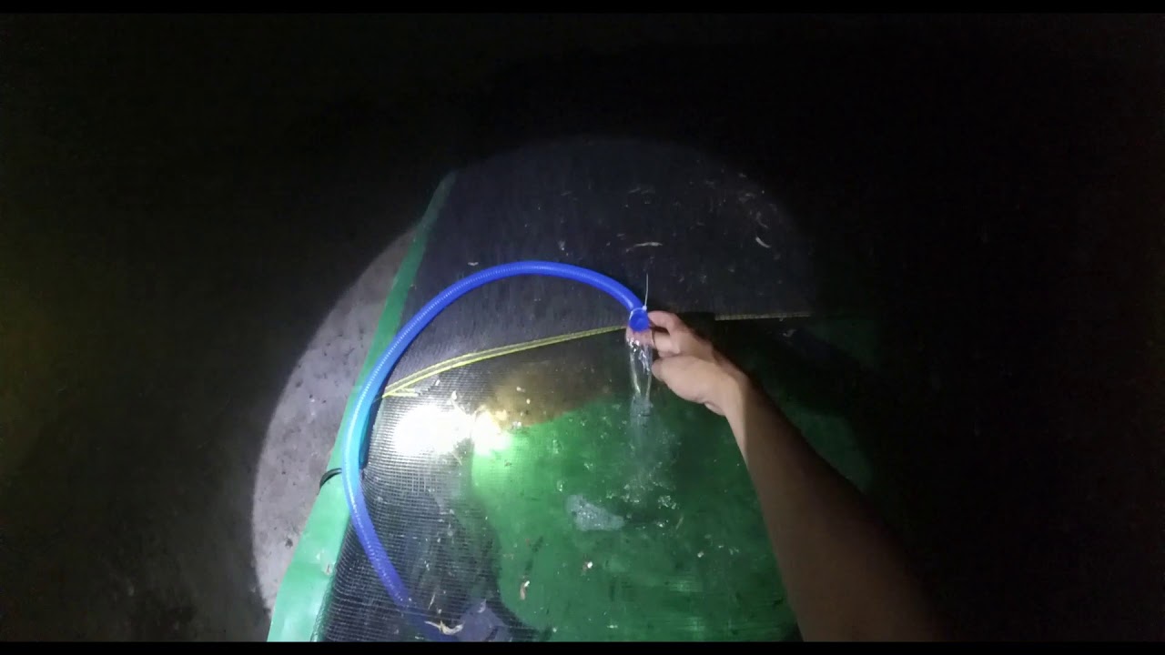 Water and Humidity In The WALET Bird House || Air bergerak dan Kelembaban