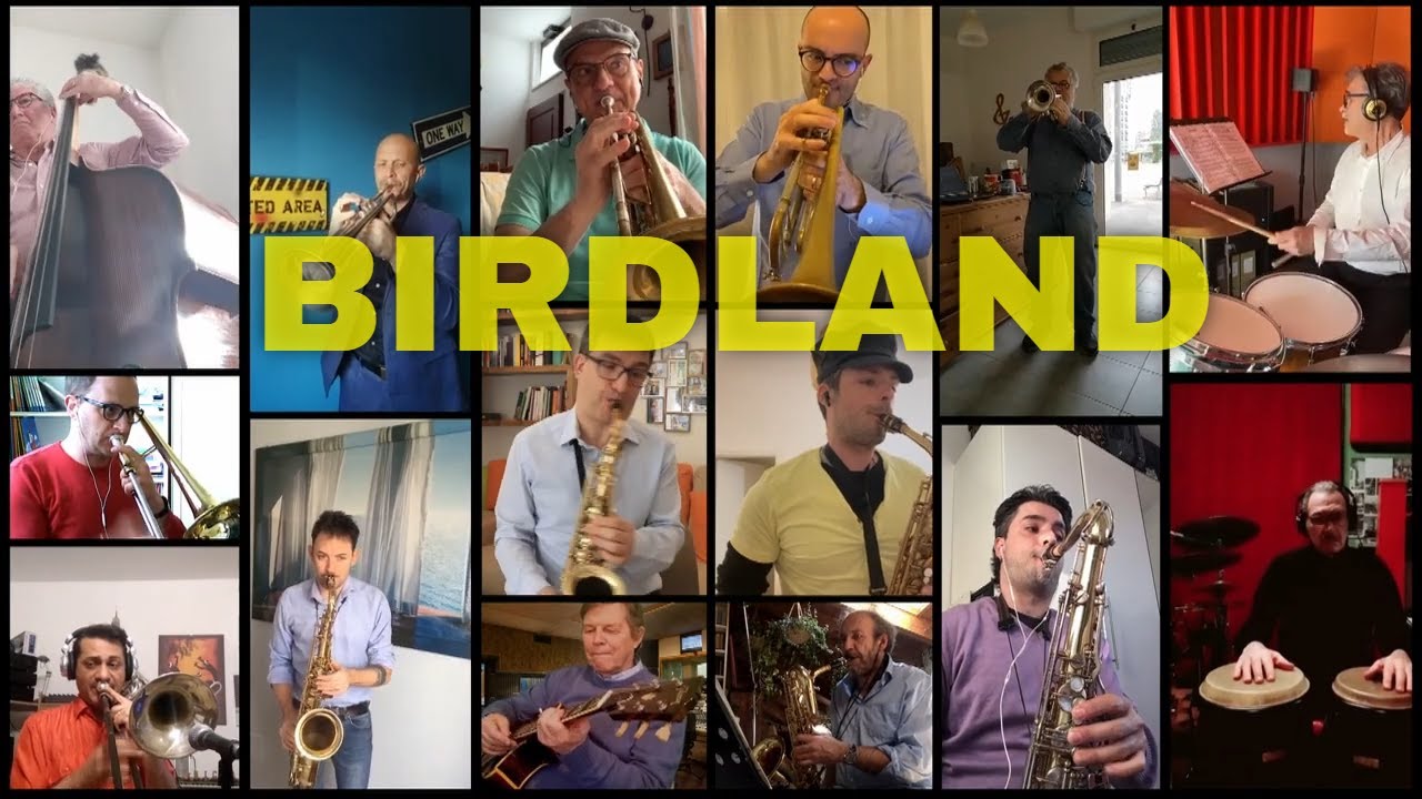 Patchwork Style Band - Birdland