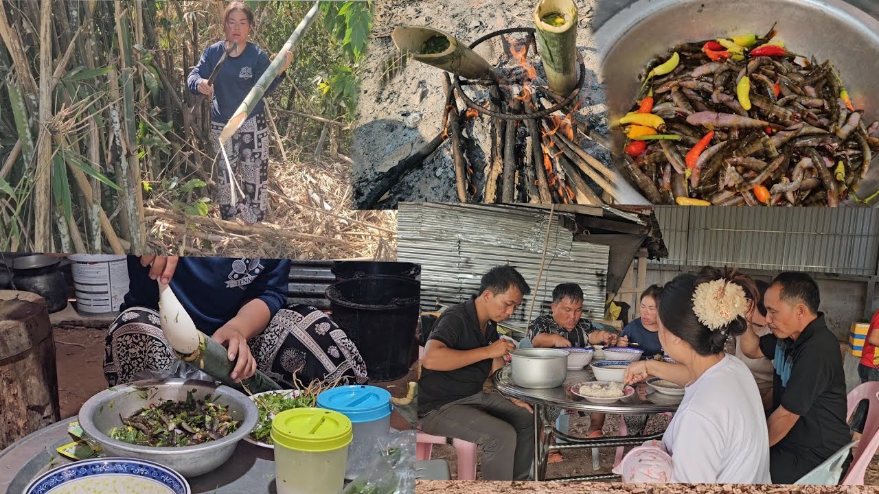 21 กุมภาพันธ์ ค.ศ. 2026