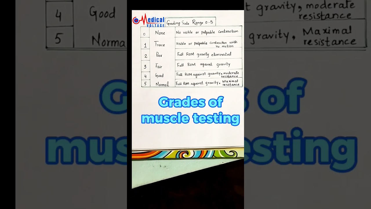 Are You Using Muscle Testing Grades Correctly? | by dr nida ilahi