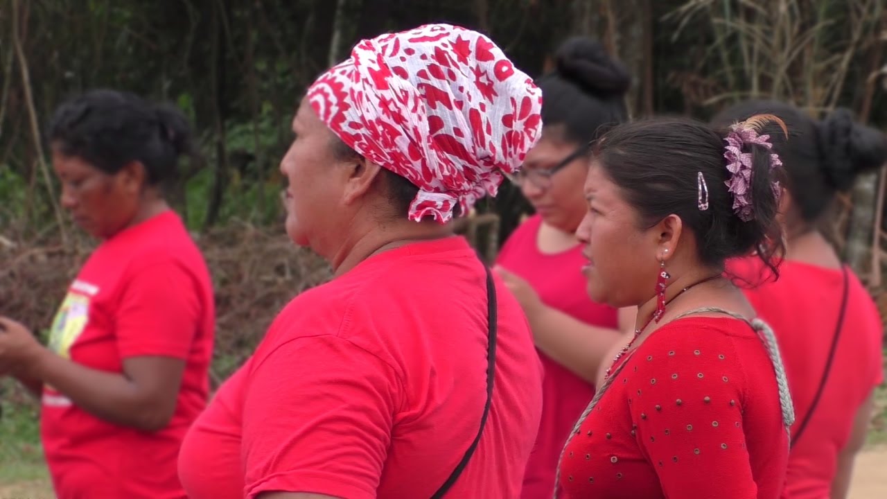 Présents ! Les Amérindiens de Guyane mobilisés.