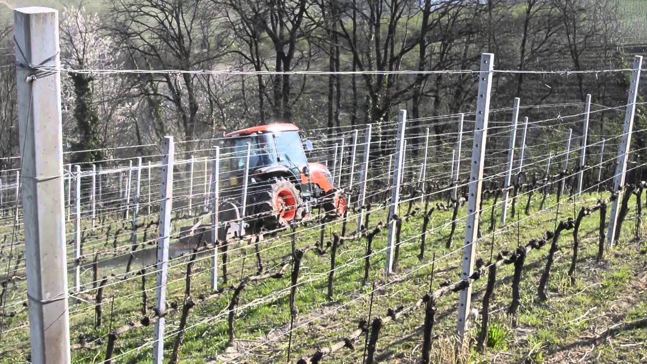Kubota Narrow M9540 in vigneto.
