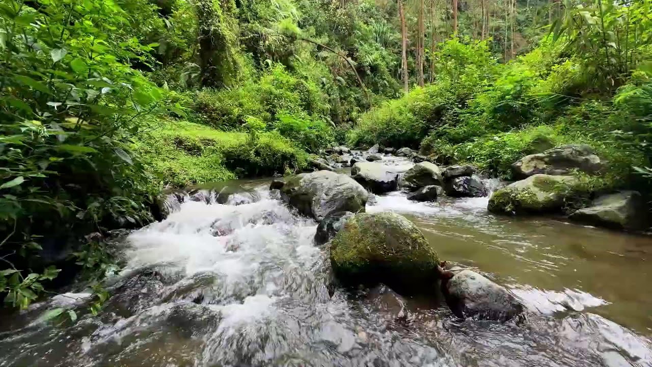 Soothing river sound around silent leafy river scenery helping deeper deep sleep with calm breathing