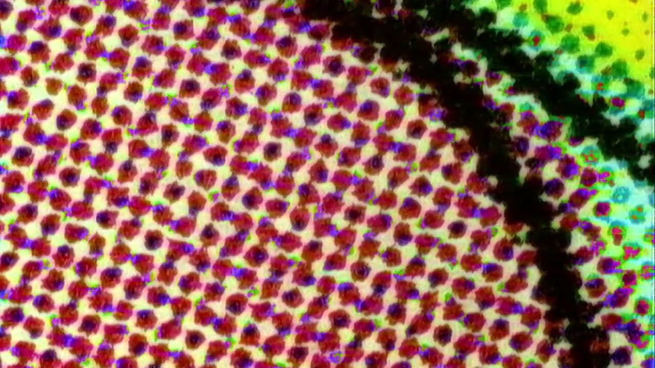 2026-02-11 09-25-45
