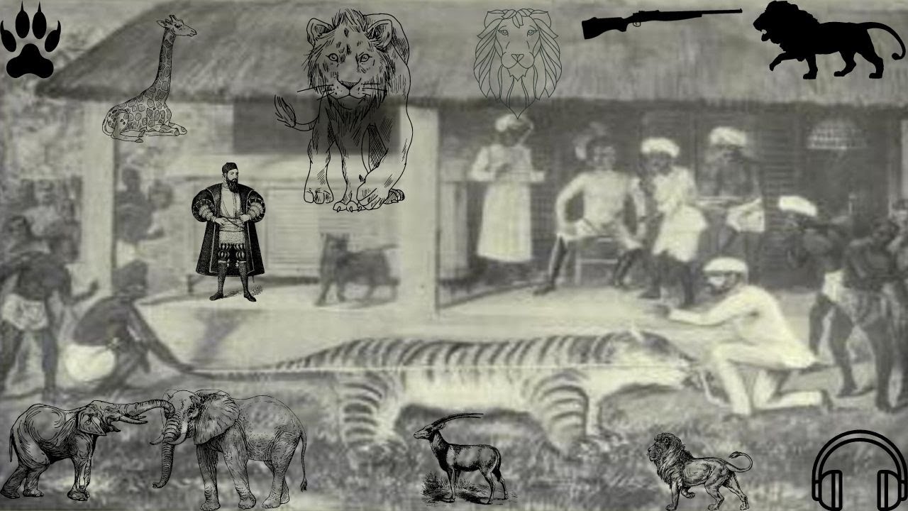 How I Killed the Tiger full audiobook Frank Sheffield