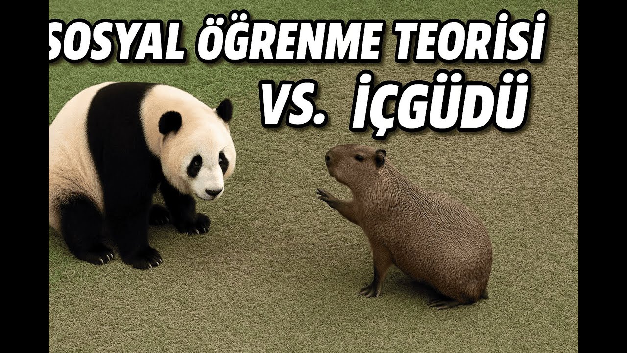 Sosyal Öğrenme Teorisi vs. İçgüdü