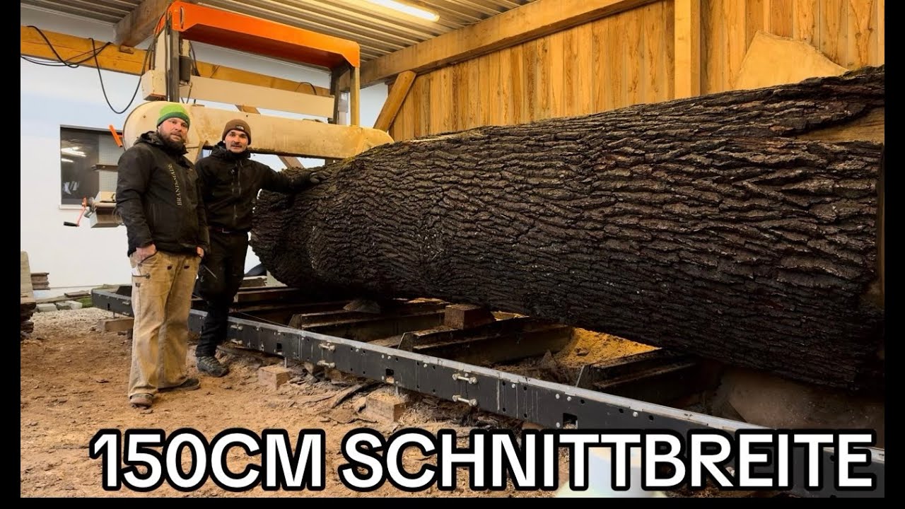 LOGOSOL Bandsäge - SCHÖNES HOLZ MACHT MICH EINFACH VERRÜCKT!!!