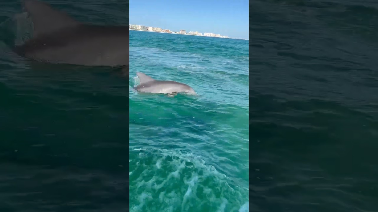 Just to real 😉 #floridalife  #waterviews #jetskidaily