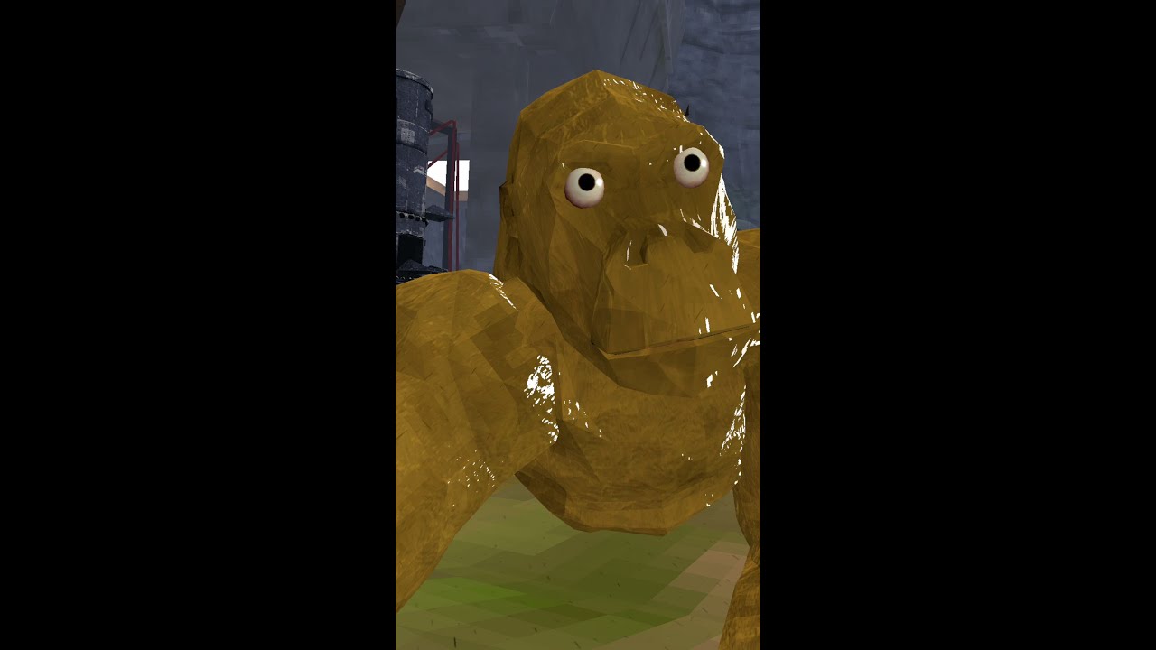 war plane in animal company