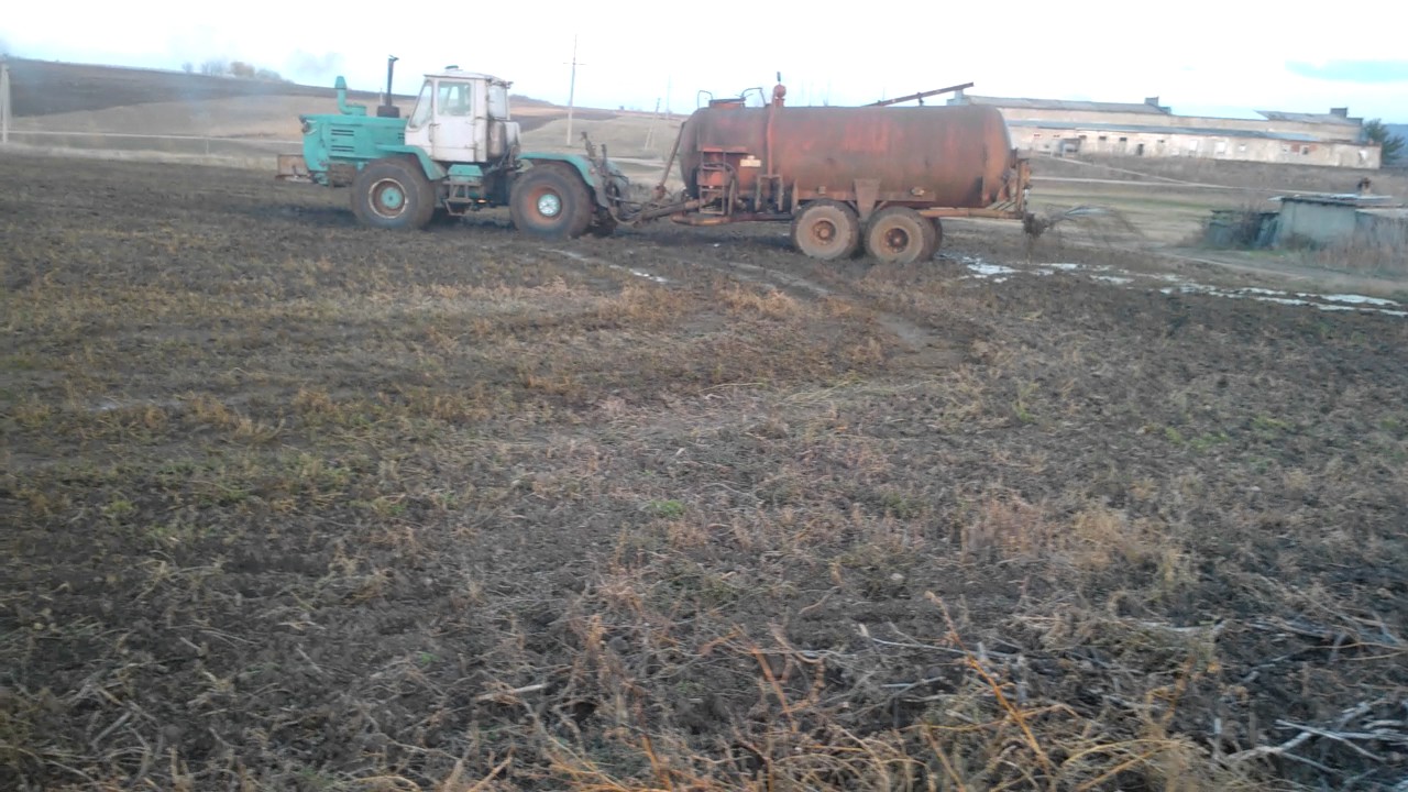 Fertilizarea cimpului cu ingrasaminte organice Moldova, Telenesti 2016