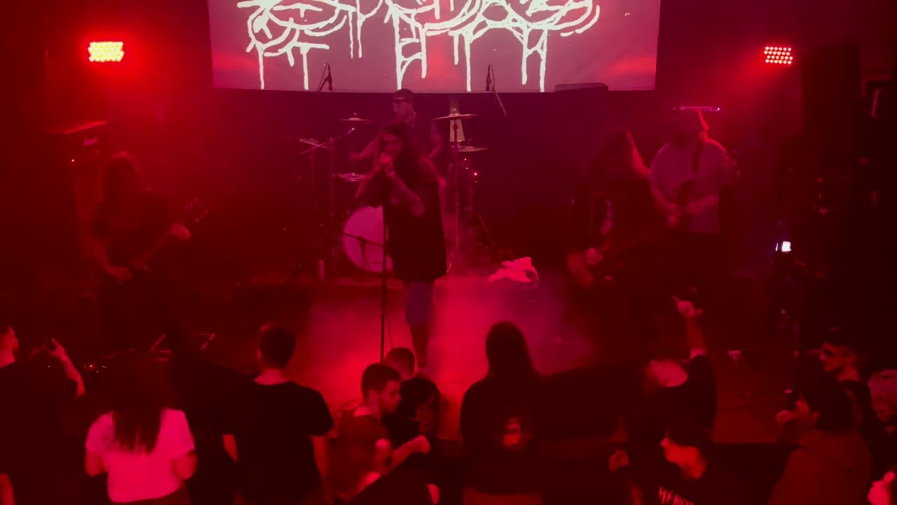 Rats in paradise - Desert eagle, live GOS fest 2024, Ласточка