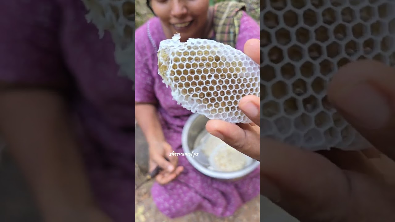 ഞായറാഴ്ച ഒക്കെ അല്ലേ ഓടി വായോ നമുക്ക് കുറച്ച് തേനെടുക്കാം
