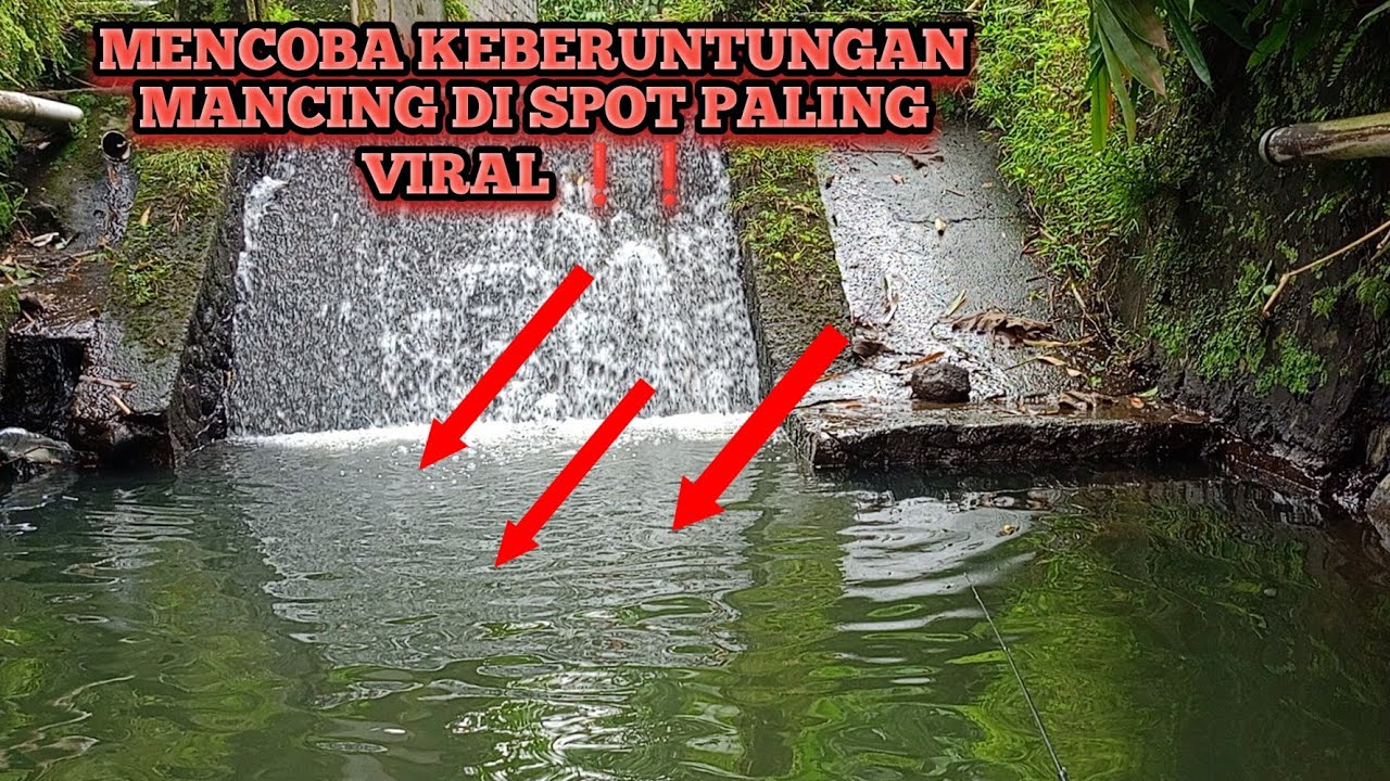 MENCOBA KEBERUNTUNGAN MANCING DI SPOT PALING VIRAL❗❗SPOT MANCING PALING GACOR 