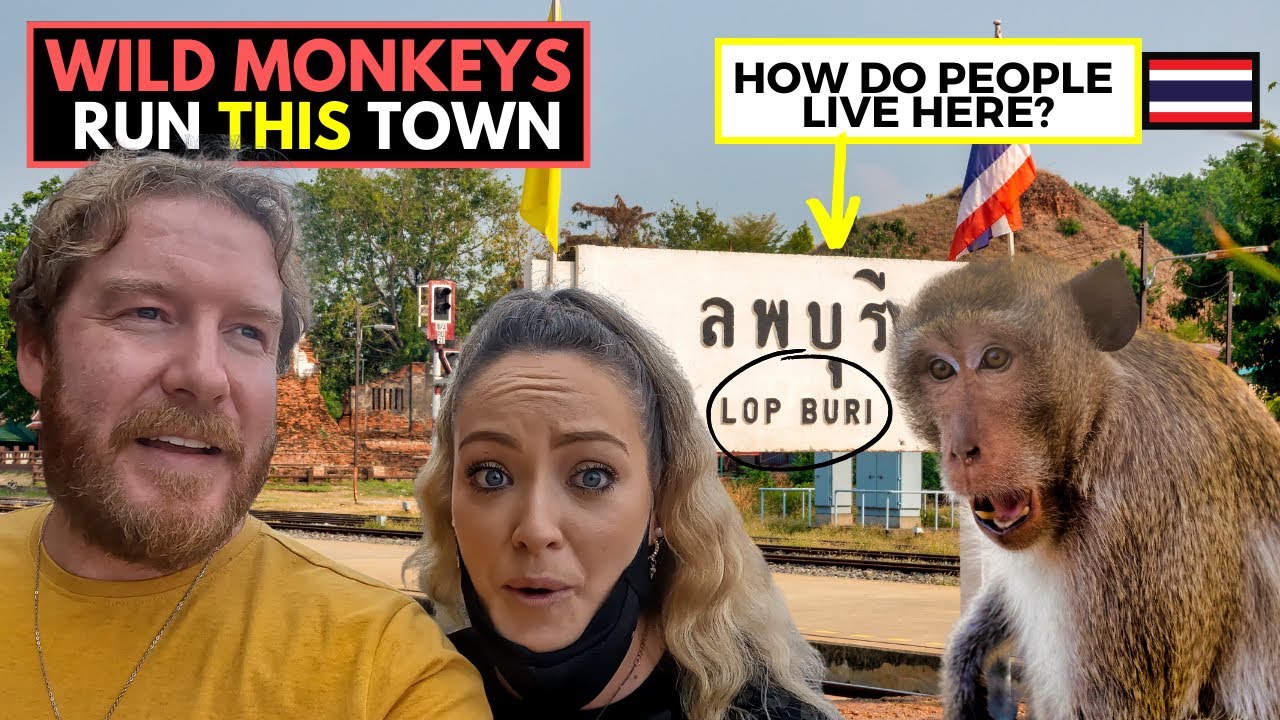 This town is ran by WILD MONKEYS (How do people live in Lopburi, Thailand?)