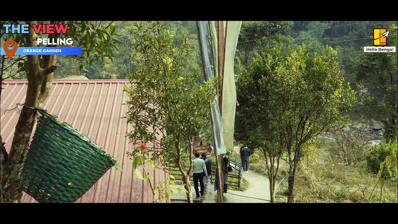 The view | River Orange Garden | Pelling 4k