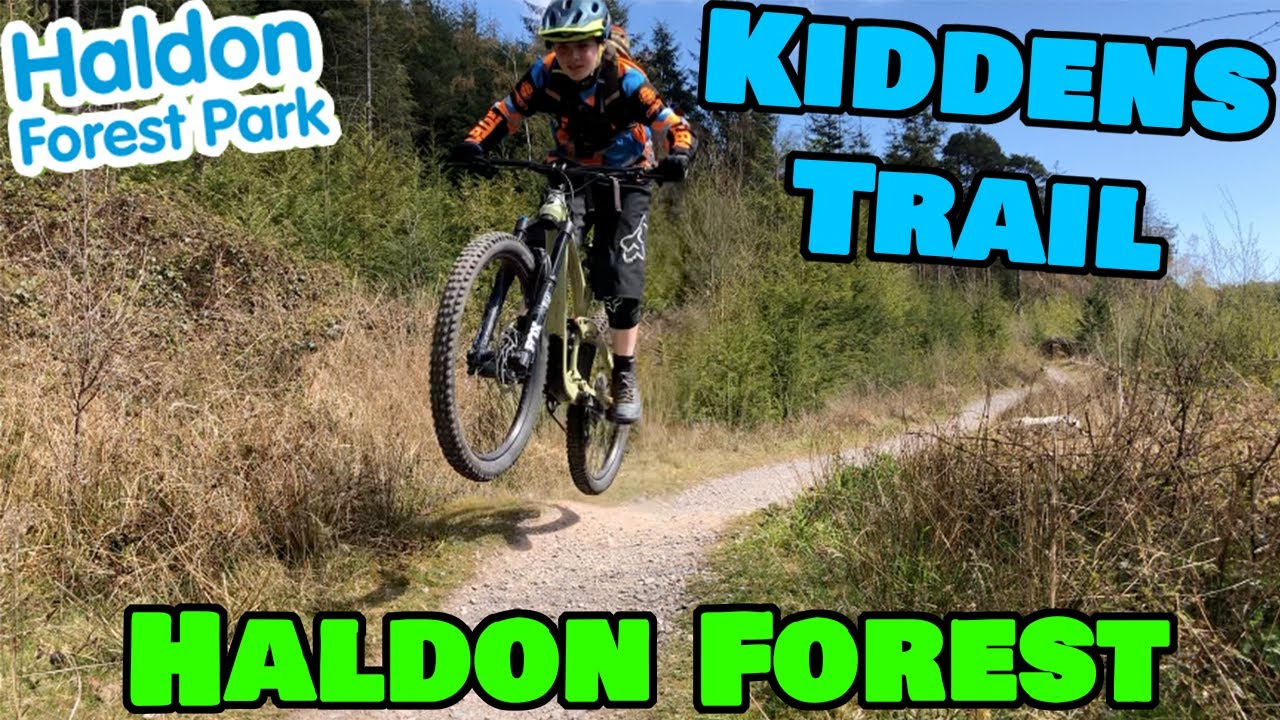 Blue Trail - Kiddens Trail @Haldon Forest Park