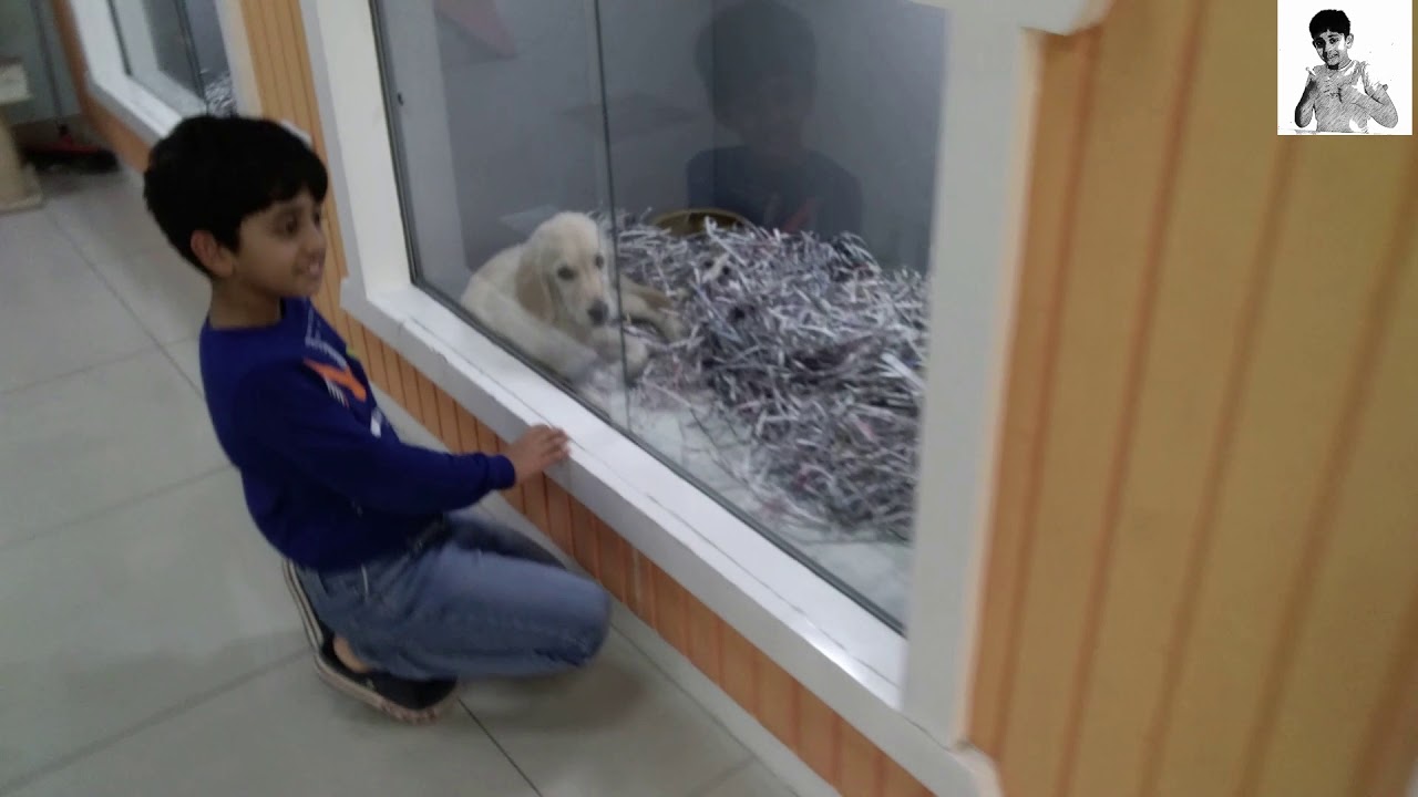 Birds and Pet Market, Dubai Pet Lovers