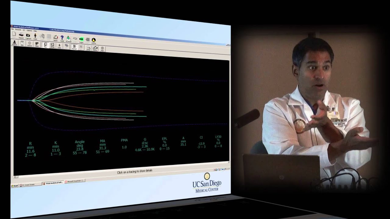Trauma Day Away 2013 - TEG: Meaning and Interpretation