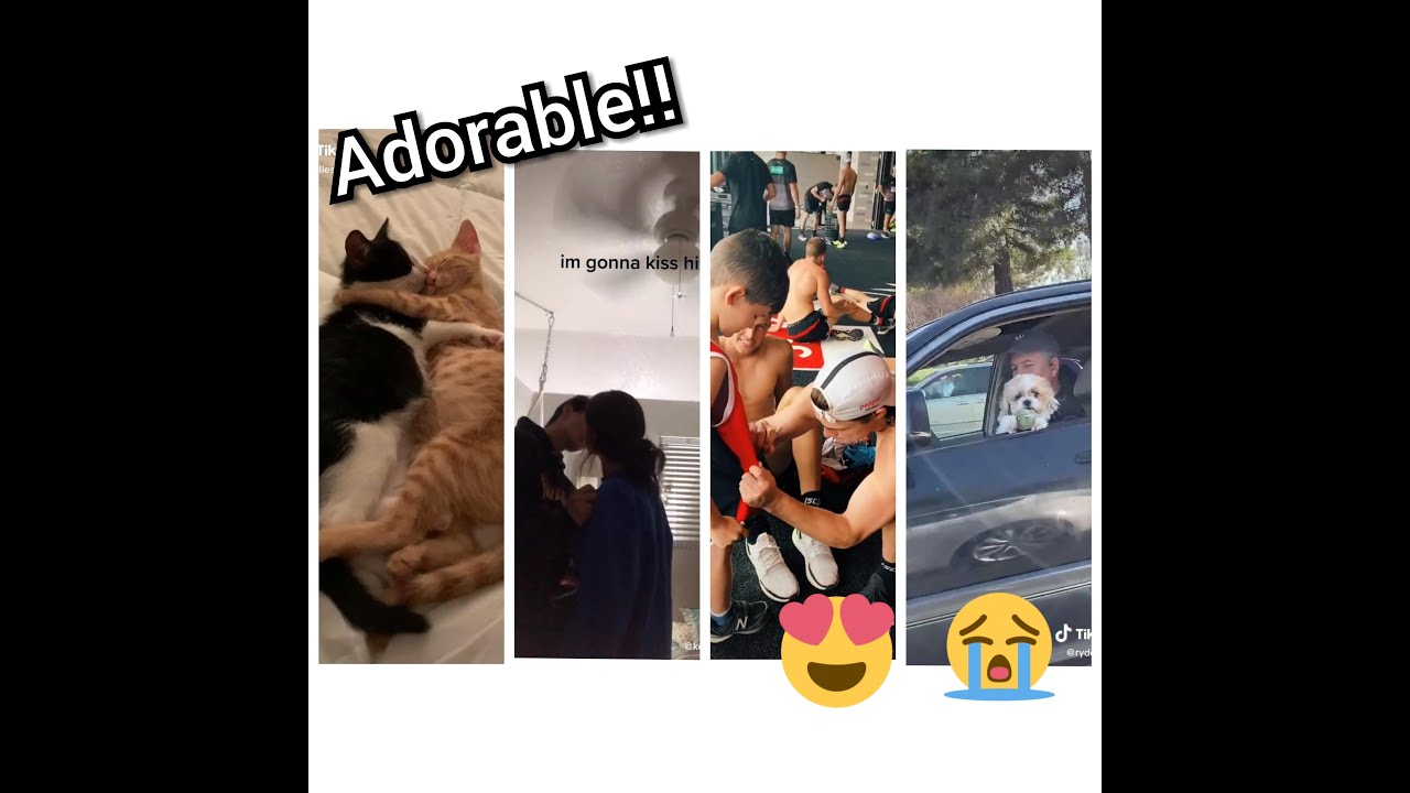 Most heartwarming tiktok compilation ft. deathbed trend