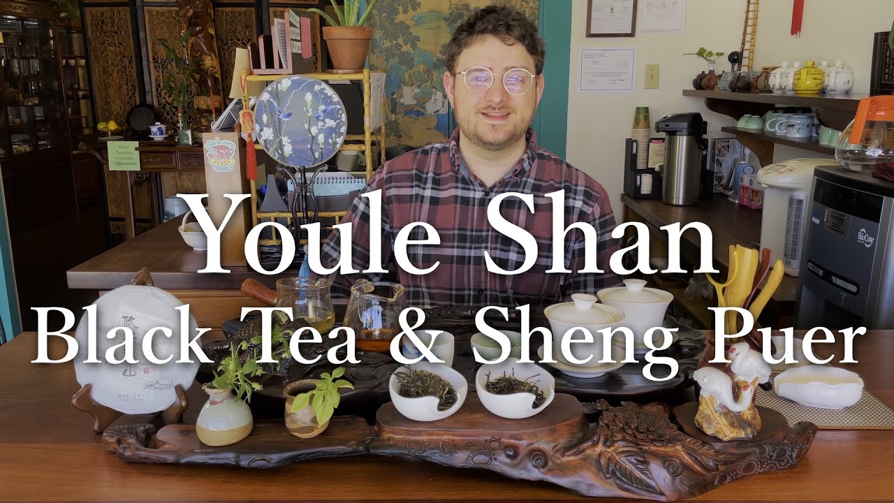 What's Brewin'?: A Youle Black Tea and a Youle Sheng Puer
