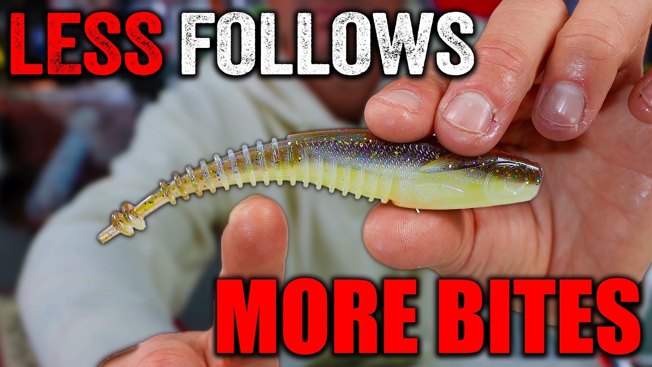 What I WISH Someone Told Me About Jig & Minnow Fluke Fishing