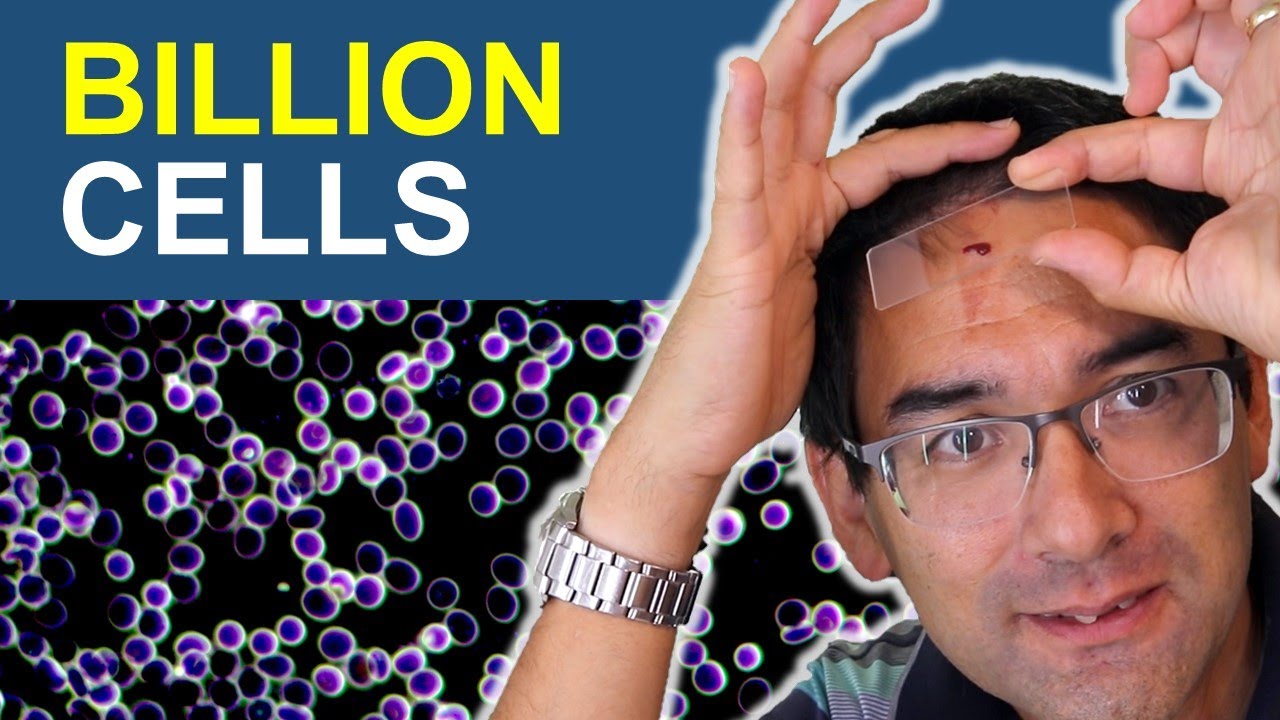 I bumped my head and put the blood under the microscope