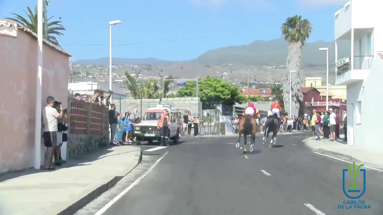 II jornada de distancia y velocidad de la VIII edición del Campeonato La Palma Ecuestre 2024