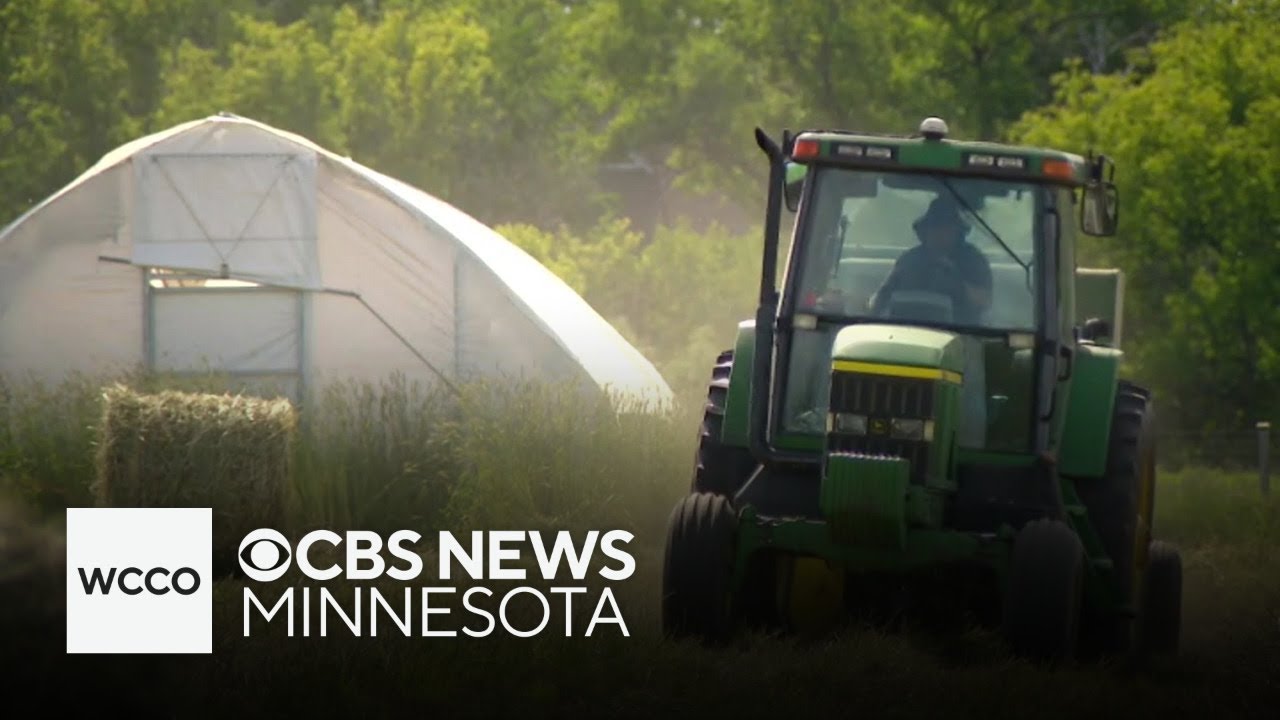Dry conditions, rising fuel costs creating challenges for Minnesota farmers