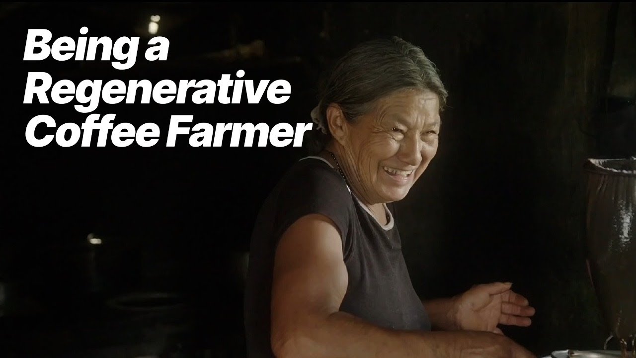 From Soil to Cup: Regenerative Coffee Farming in Colombia