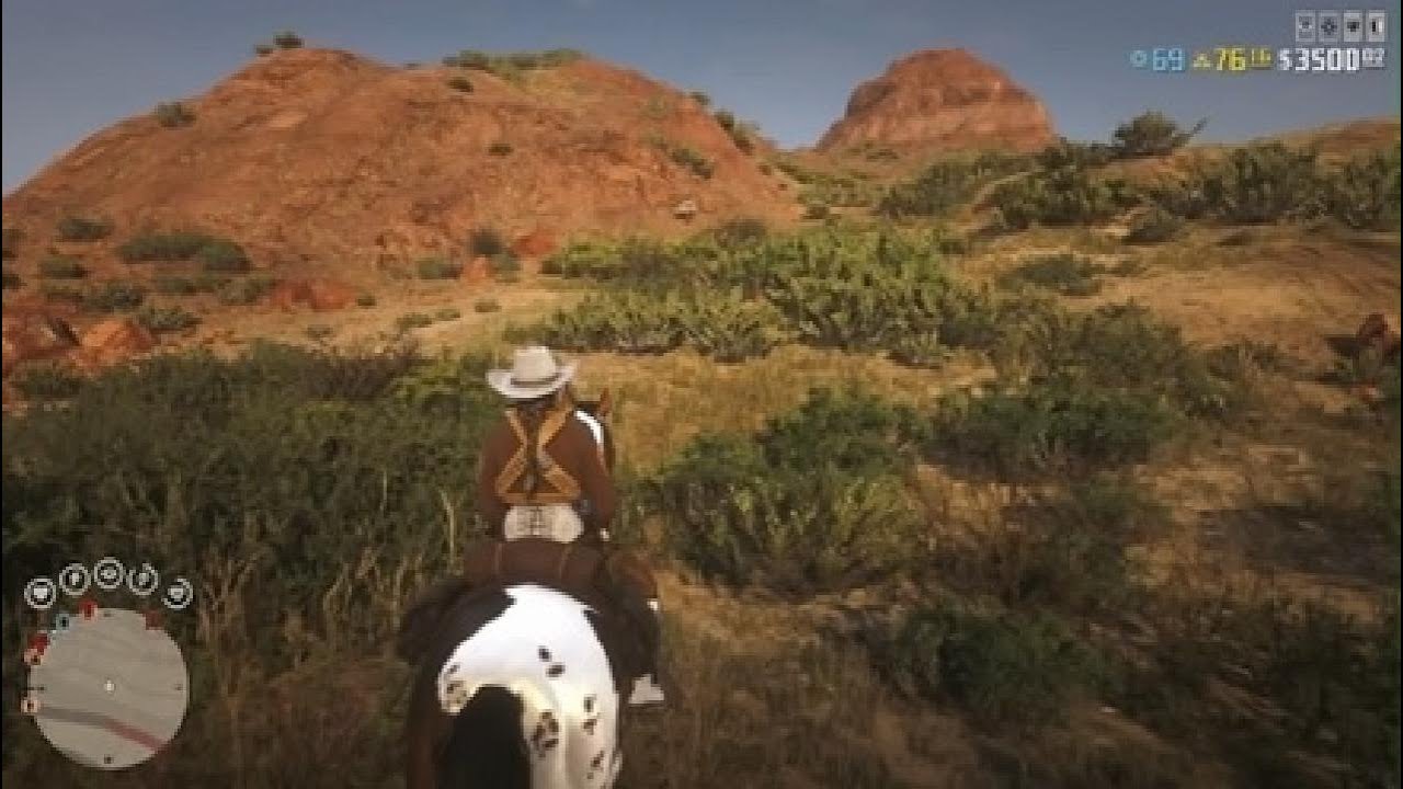 Red Dead Redemption 2_20260215224049