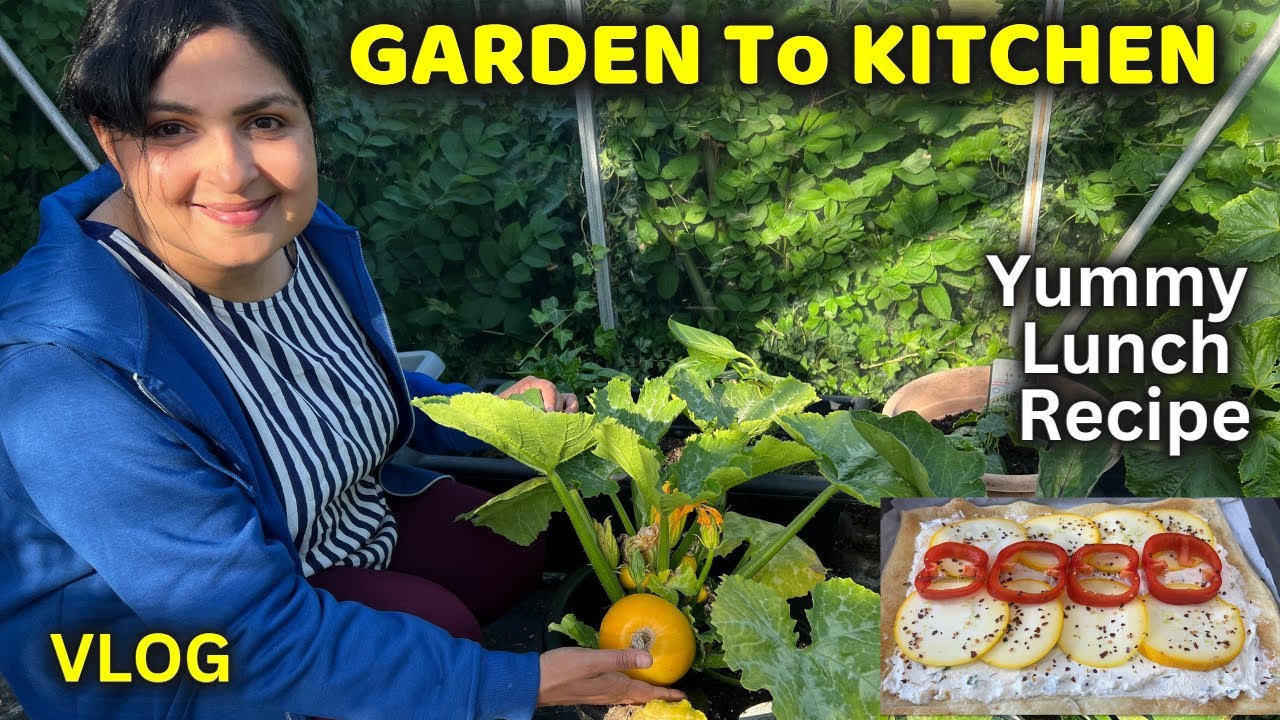 இந்த ஆண்டின் முதல் அறுவடை / GARDEN TO KITCHEN - Ep1 /  Vegetable Gardening ideas 
