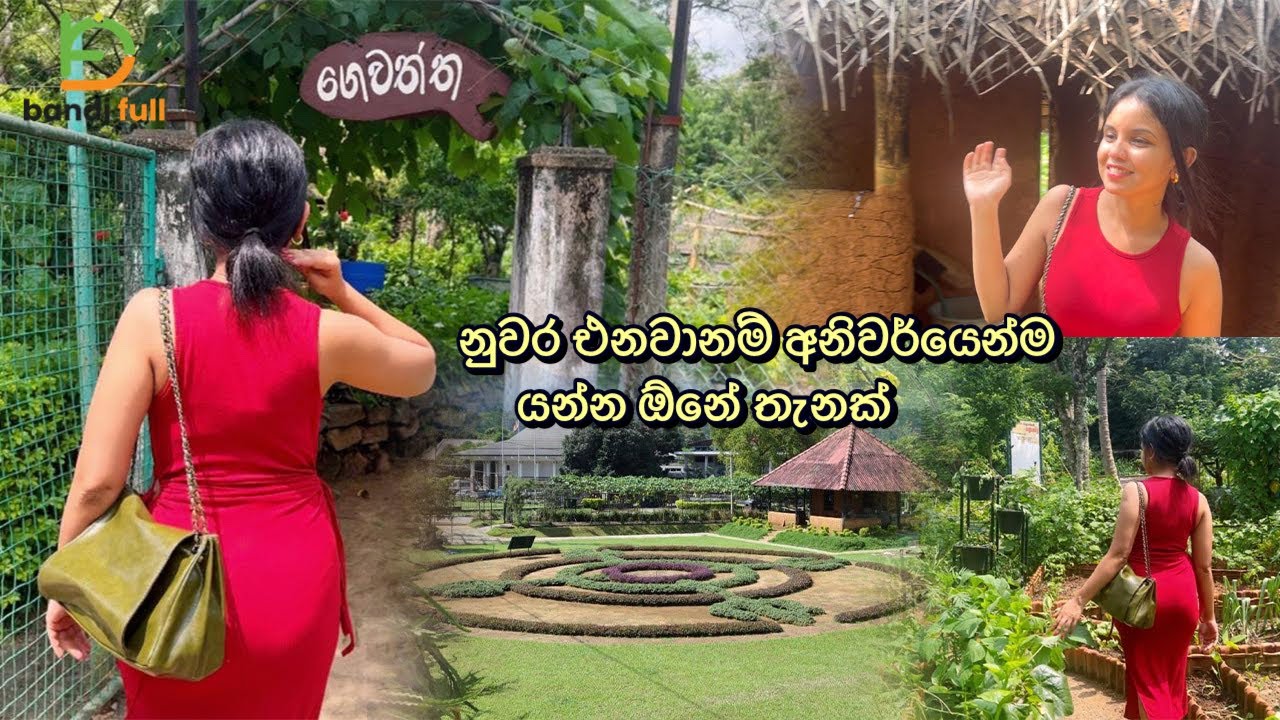 රුපියල් 20ට ගන්නෝරුවේ කරන්න පුළුවන් දේවල් 😲 Gannoruwa Vlog | Agroo Technology Park Gannoruwa