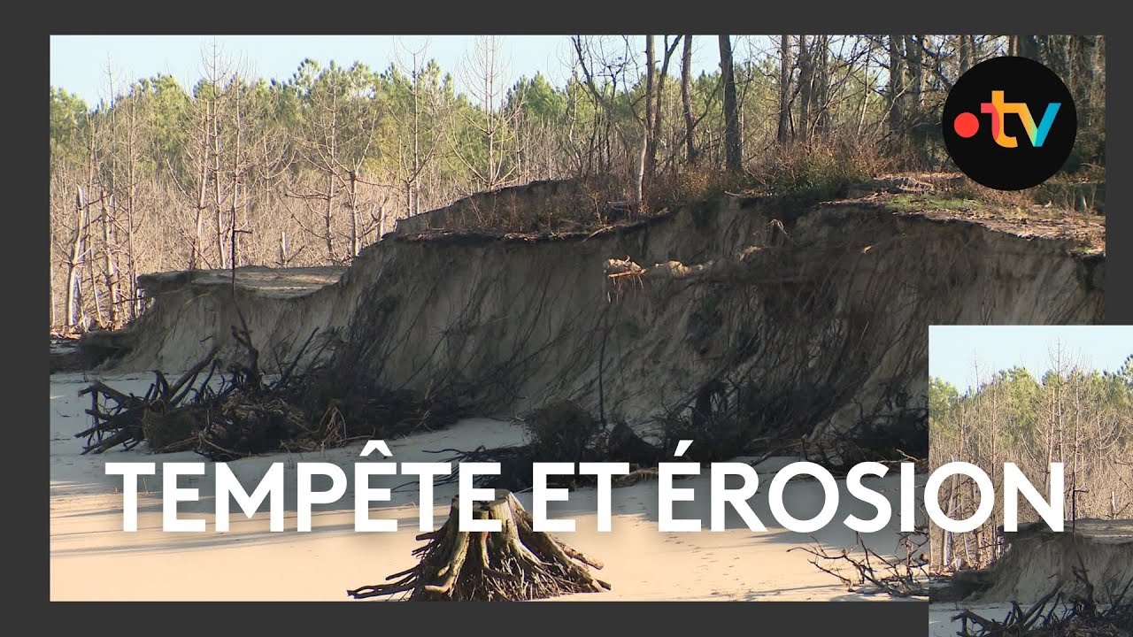 Le trait de côte recule de 7 mètres à La Tremblade