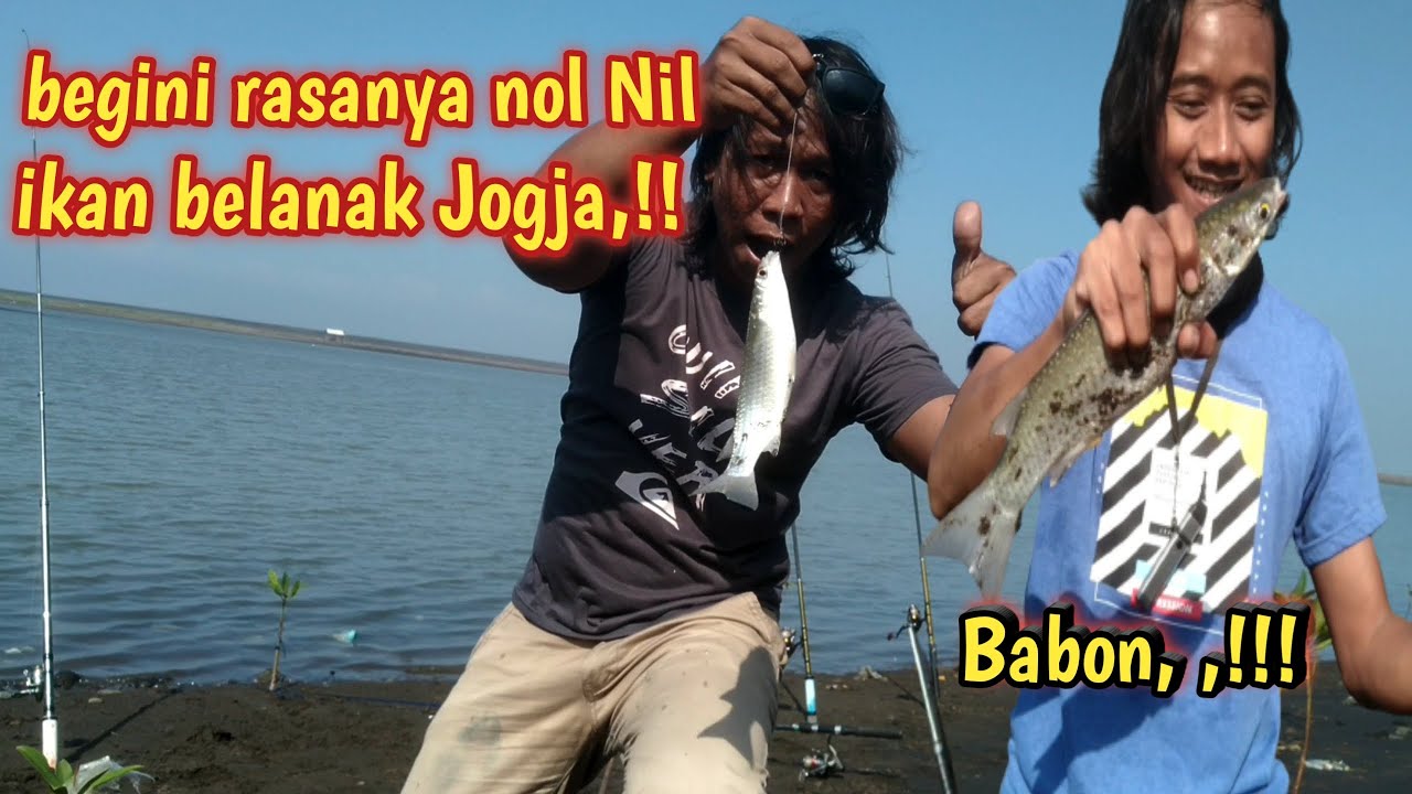 Mancing belanak di spod  muara trisik yogyakarta ! Nolnil joss