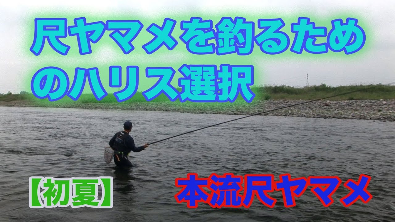 井上聡 本流尺ヤマメ 【初夏】尺ヤマメを釣るためのハリス選択 Satoshi Inoue Mainstream scale Yamame spring, summer and autumn fight