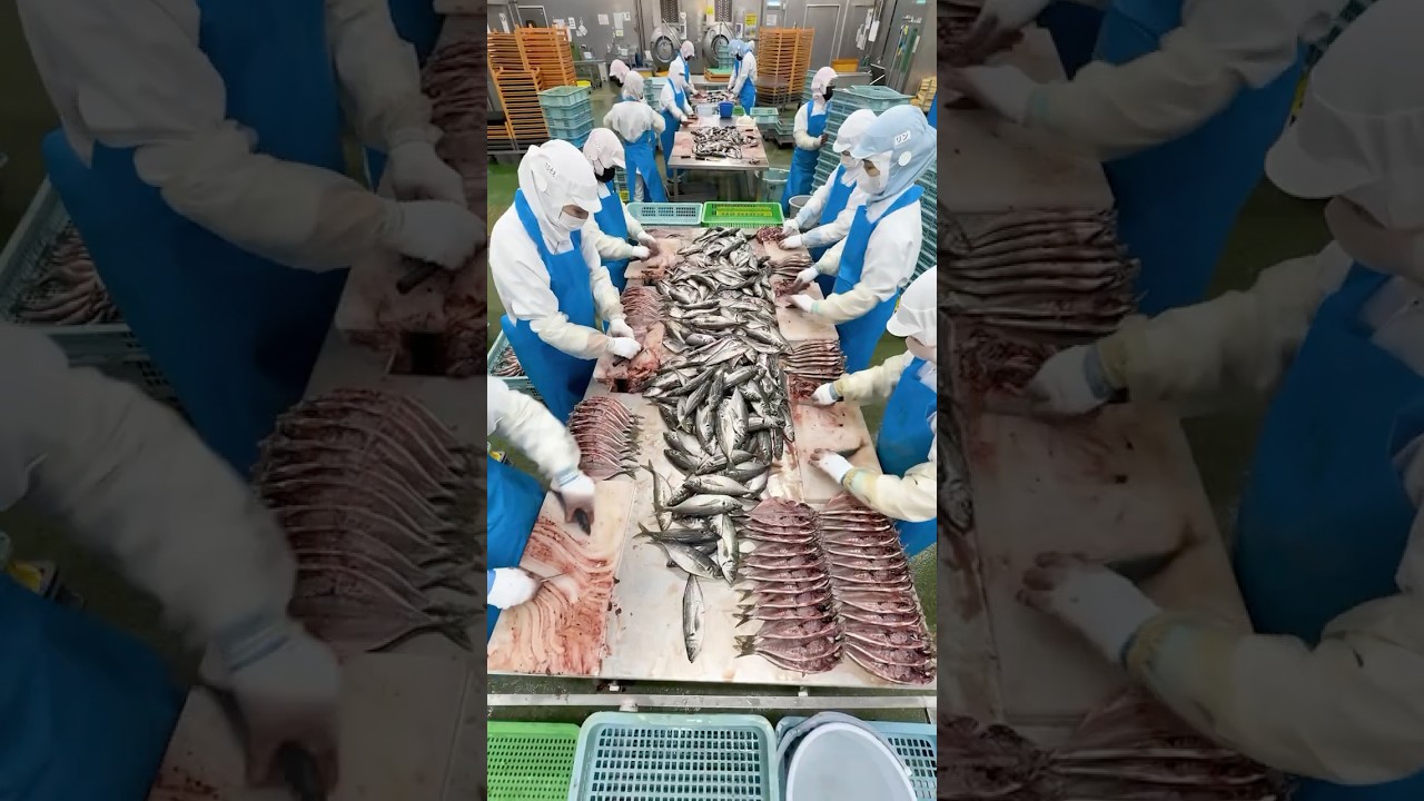The Process Behind 40,000 Dried Fish a Day: Inside Japan&rsquo;s Largest Factory #japanesefood