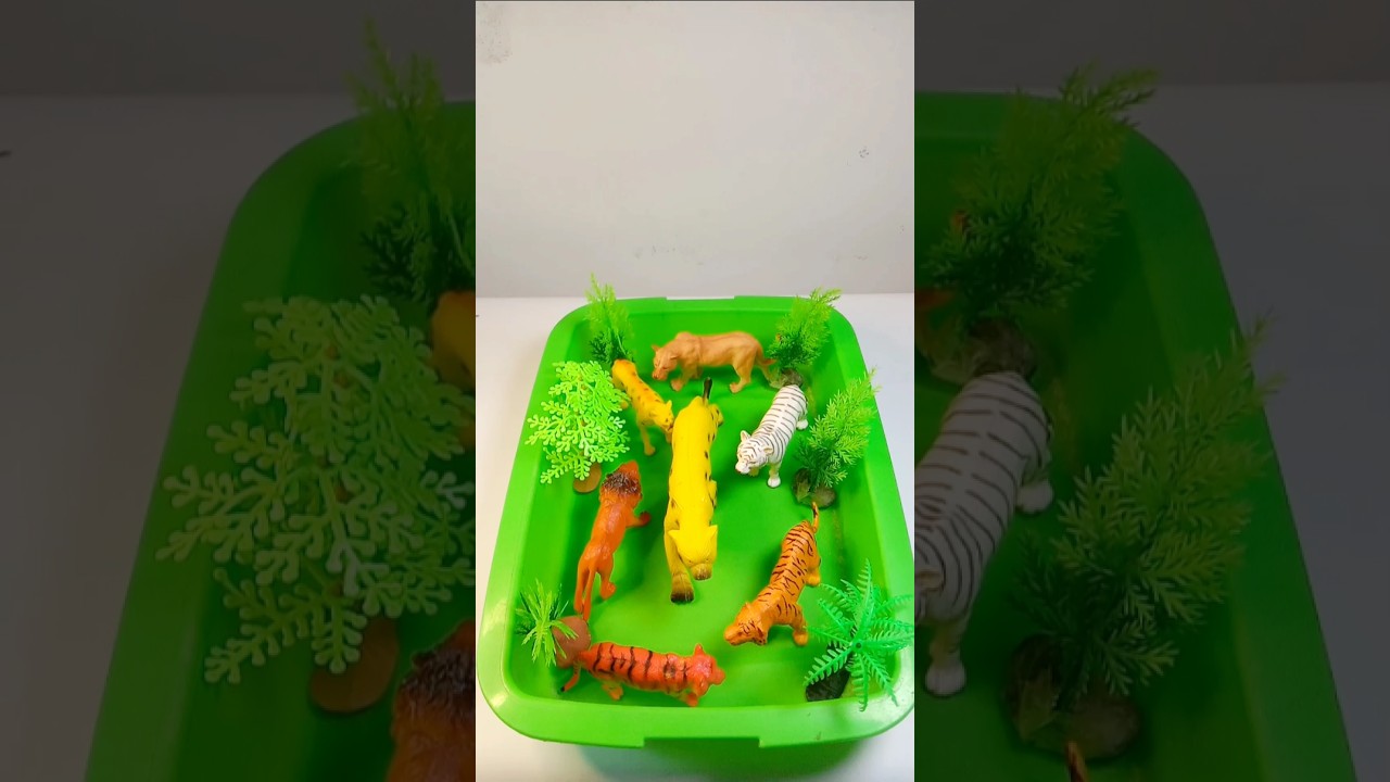 Satisfying Video, Animal toys, Asmr, Oddly