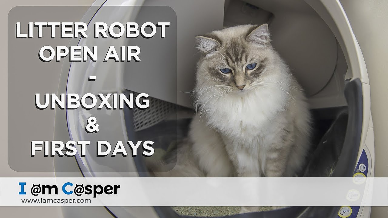 Litter Robot Open Air - Arrival & Unboxing (Save $50 off via link below) - Self Cleaning Litter Box