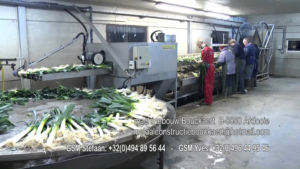 BOUCKAERT PREIMACHINES prei droog was lijn 2   poireau  leek  porree