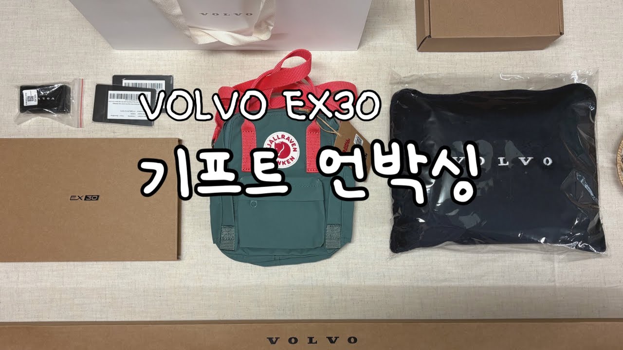 집에 와서 열어본 트렁크 속 선물 🎁