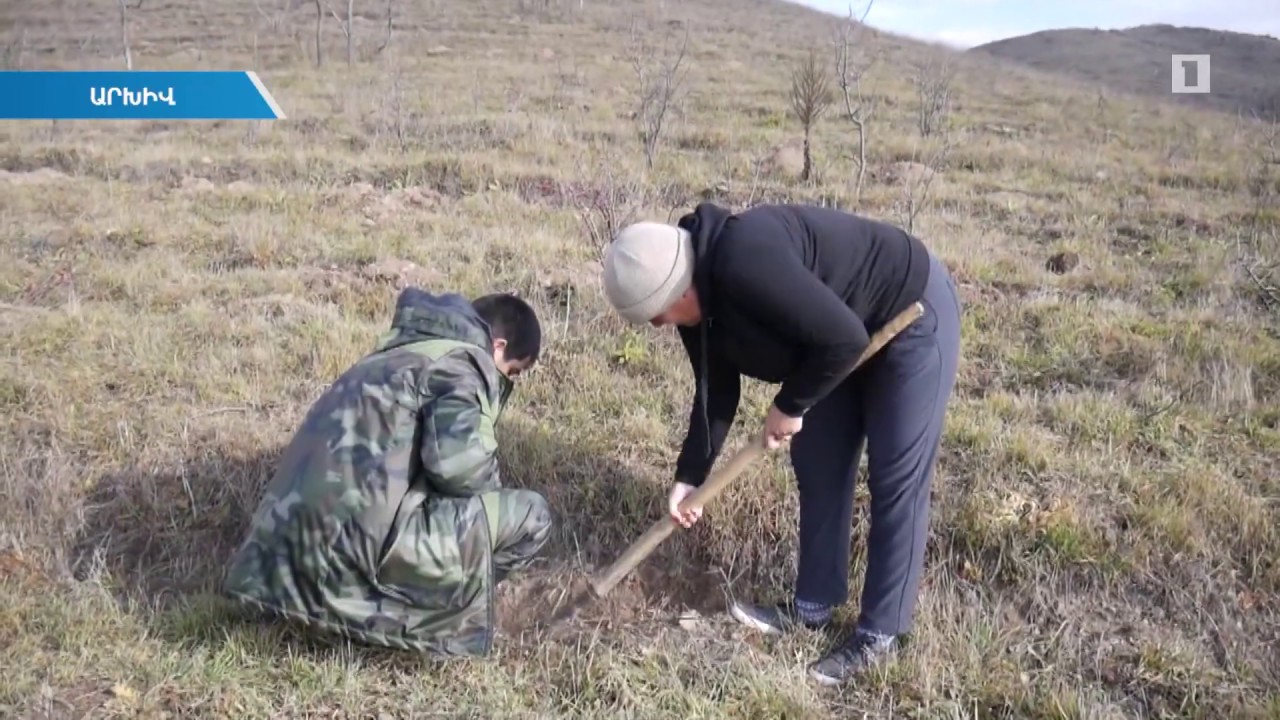 Սկսվել են 10 մլն ծառ տնկելու ծրագրի իրագործման աշխատանքները