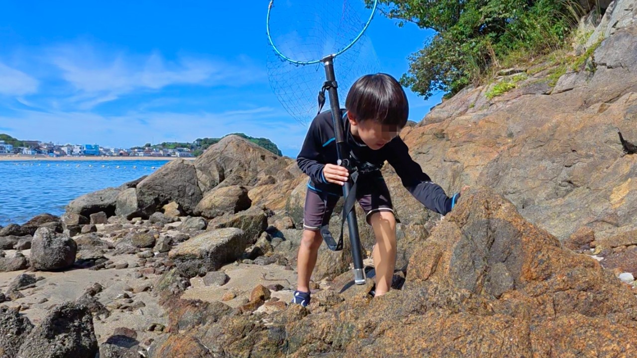 島で見つけた生き物に大興奮！！【篠島遠征】