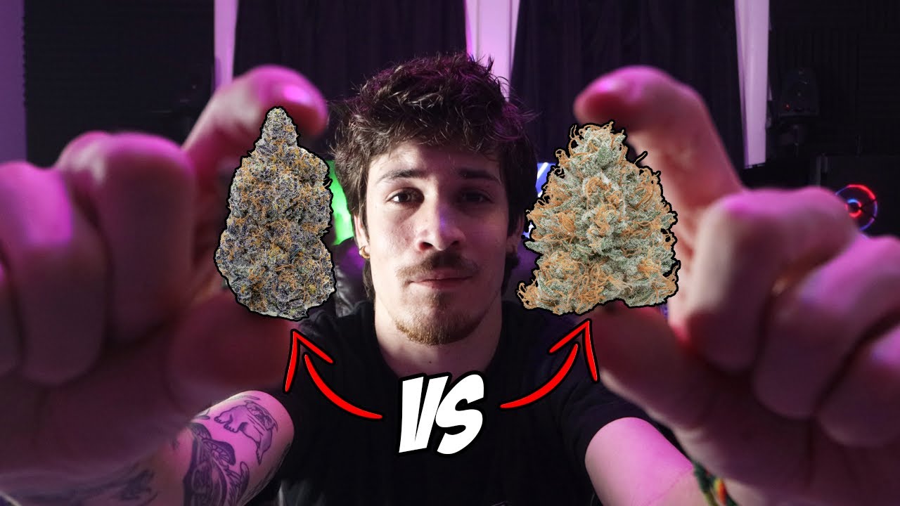 Is Purple Weed Better?