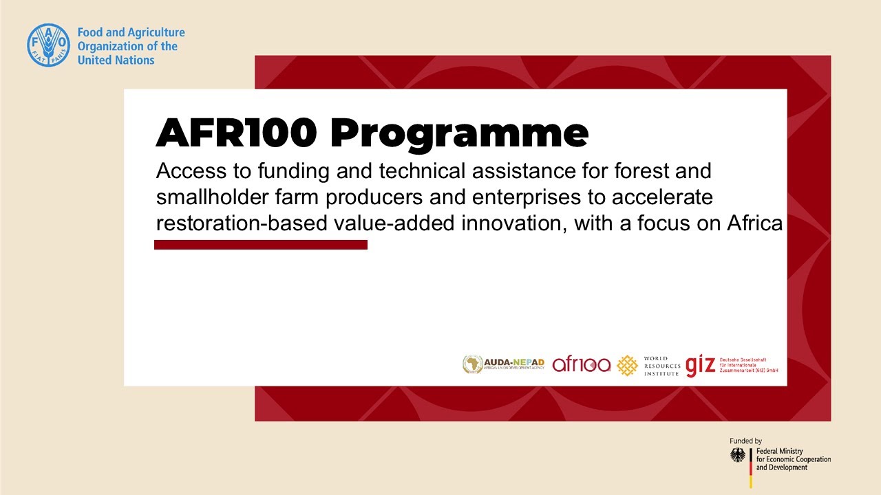 Matchmaking and Restorative Value Chains ||Afternoon session